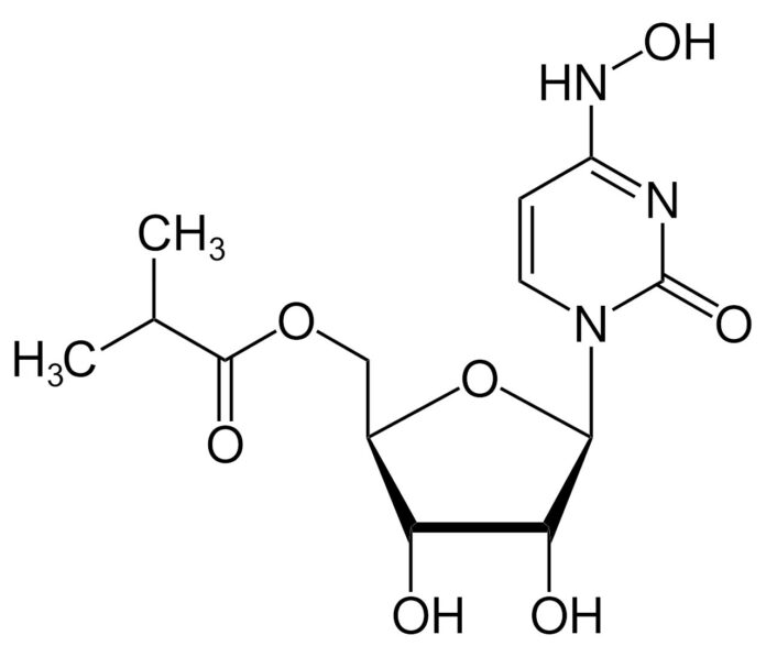 PTEiLChZ rekomenduje Molnupiravir jako środek przeciw SARS-COV-2