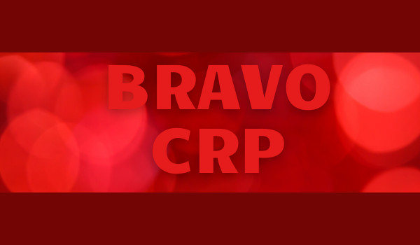 Rządowe Centrum Bezpieczeństwa - W dwóch województwach wprowadzono stopień alarmowy BRAVO- CRP